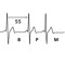 55 BPM