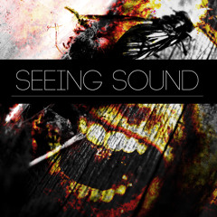 Seeing Sound