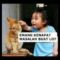 29. Kungpow Chickens - Lagu Gay