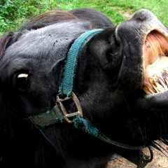 Dark Master of Nothing