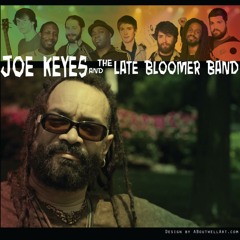 The Late Bloomer Band