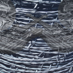 Dave on bass and guitar - Gold Coast