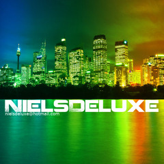 NielsDeLuxe