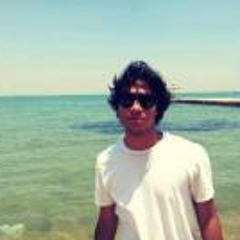 Omar Mohamed Shawky