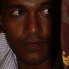 Mohammed E. Abdin