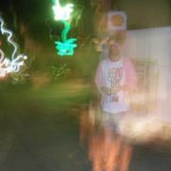 Xristoulis Carnation