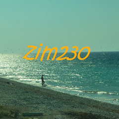 ZIM230
