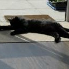 Aaron Skrillex Sorrell