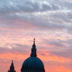 Kylie Siobhan Newton