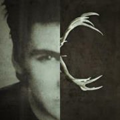 vmar.photo