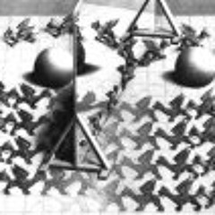 Christian Schmidt 51