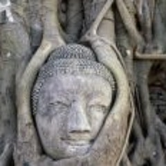 tony.frappier@hotmail.fr