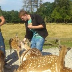 Nicklas Chico Invernizzi