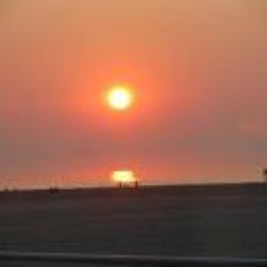 Sherry Fehrer Watkins