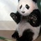 Martin Chin 1