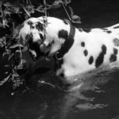 Bethany Hope Petritsch