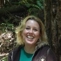 Lori Flyer