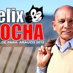 FelixRochaRuizalcalde2012