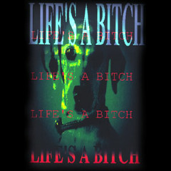 Life's a Bitch