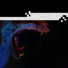 Beneath My Wings (feat. Vafrous Coyote)