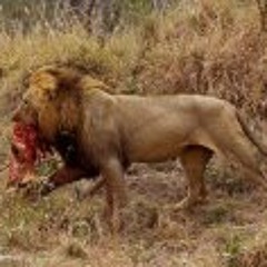 Take Money City Live