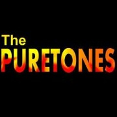 The-Puretones Rock-Band