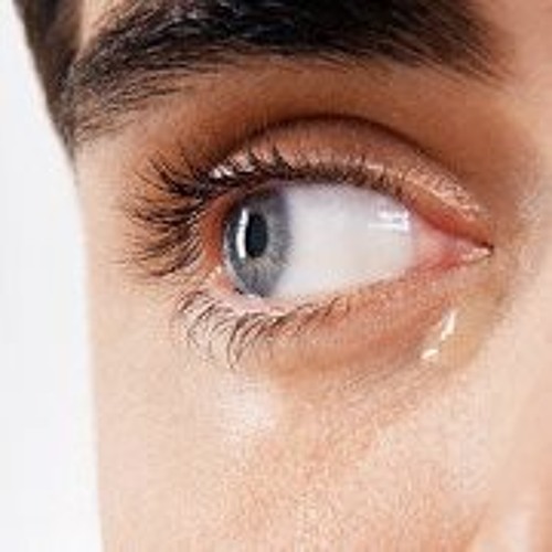 مديح نبوي عراقي - مدد - محمد الفيصل