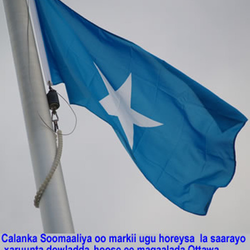 Bashir Hanuuniye iyo Fiska Mix