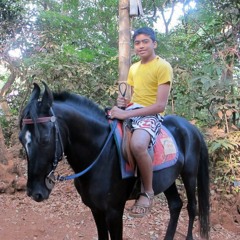 errol lional