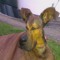 MadDog01