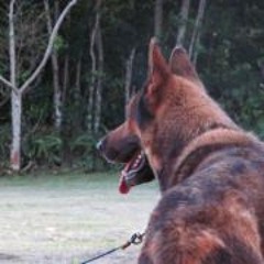 Colin James Leon Guerrero