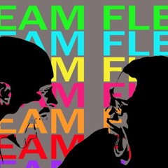 TEAM FLEX