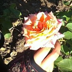 Omar Faruk Tekbilek - Hasret-Turkey.m4r