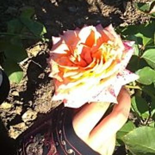 Omar Faruk Tekbilek - Hasret-Turkey.m4r