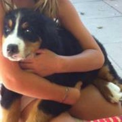 Loan Mamou Les Amours