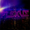 PleXusdnb