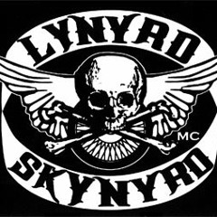 I love Lynyrd Skynyrd