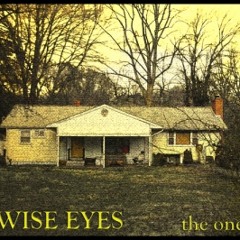 WISE EYES