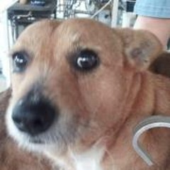 Micah StrongallAlong Gill