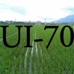 UI-70
