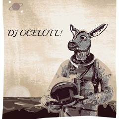 DJ OCELOTL