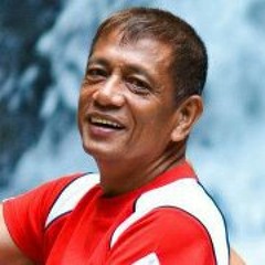 Vicente Mercado Araneta