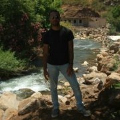 Ali Amin 3