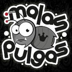 Anse Mauricio Guerrero