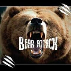 Manny The Bear