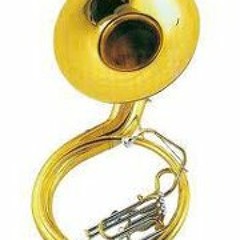 Fan Banda Sinaloense