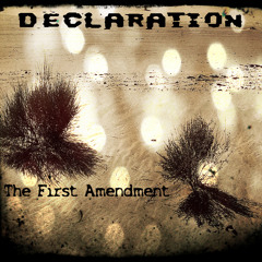 Declaration Official