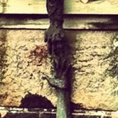 rastafesse