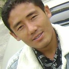 Thrinlay Pema Dorjee