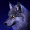 Rita Whiteandblack Wolf